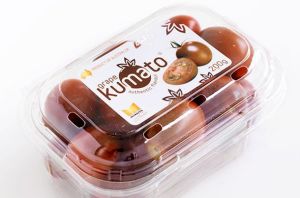 Perfection Fresh acquisition boosts its stake in tomatoes 